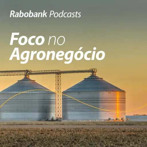 Etanol de milho e o mercado de açúcar