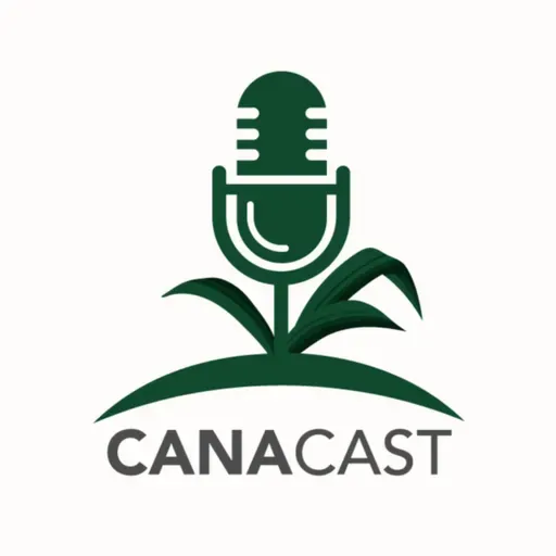 #10 CANACAST VARIEDADES DE CANA: AUMENTO DO SISTEMA RADICULAR COM FERTILIZAÇÃO DE SOLO