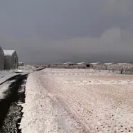 朝ラン-2℃。雪と届いたシジミサンとラッパーなヘブン先生と好きな女性タレントベストテン⑥。#1702 from Radiotalk