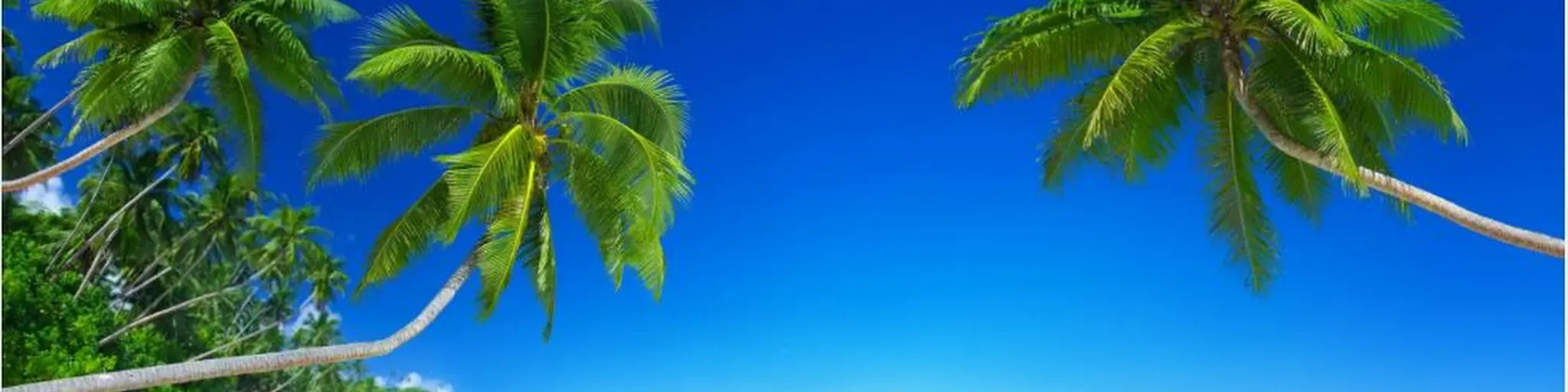Mi Radio Sur Tropical