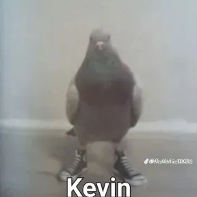 Reggaeton de todo tipo