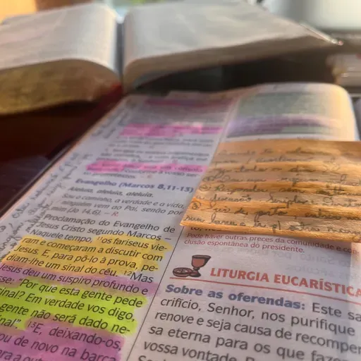 Como fugir da prova?