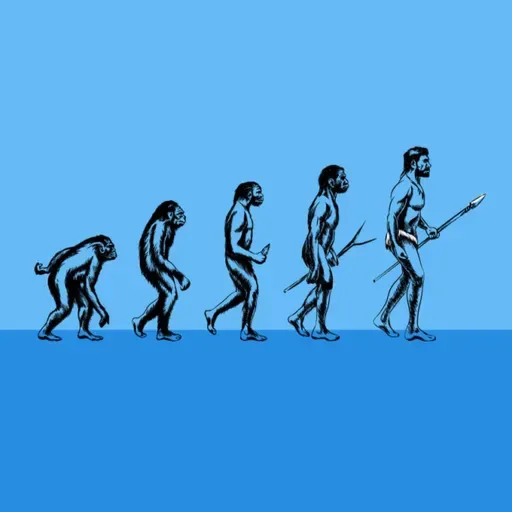 VuFyuM s07e16: El origen del bipedismo en la familia humana