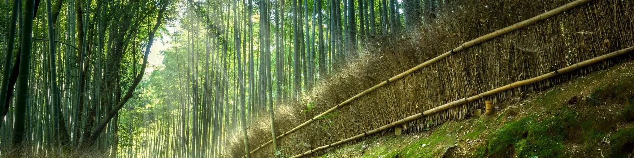 Rádio Unicorações