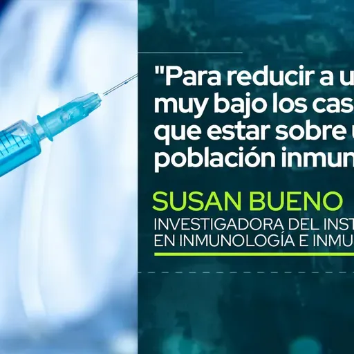 Dra. Susan Bueno: "Para reducir a un número muy bajo los casos, tiene que estar sobre un 75% la población inmunizada" 