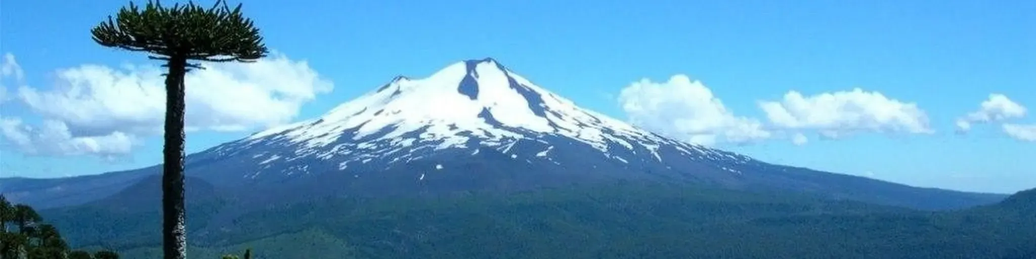 Estacion Araucania