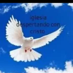 Iglesia Ministerio Pentecostal