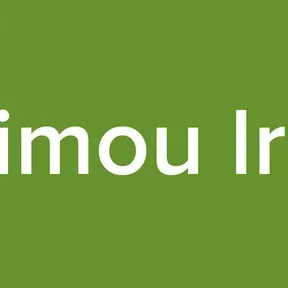 zimou lrp