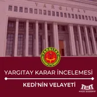 Hukuk Akademisi KARAR İNCELEMESİ | Kedi'nin Velayeti 