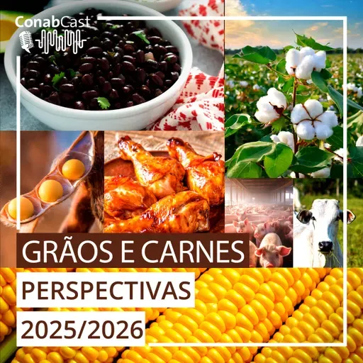 Produção de grãos na safra 2025/26 pode chegar a 353,8 milhões de toneladas, influenciada por aumento de área