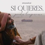 Oración 19 de mayo (Si quieres, puedes limpiarme)