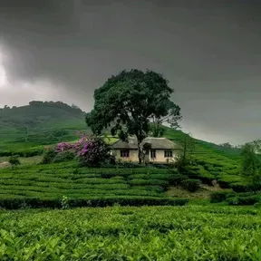 Vagamon FM
