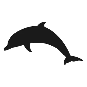 DOLPHIN - ATR