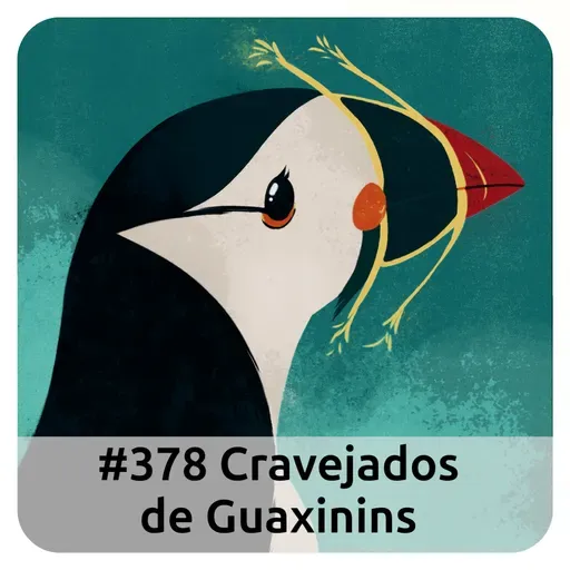 E378 Cravejados De Guaxinins