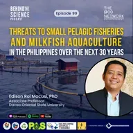 Ep99 - Threats to small pelagic fisheries and milkfish aquaculture in the Philippines over the next 30 years