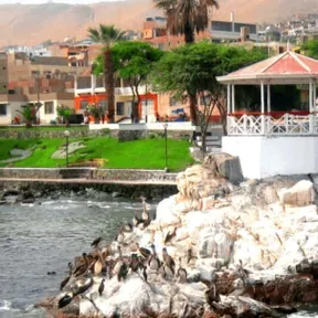 programa de espectaculos el tilin del corazon