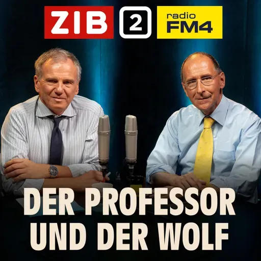 Der Professor und der Wolf: Schicksalswahl für Ungarn
