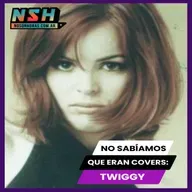 242.NSH - No sabíamos que eran covers: Twiggy