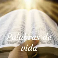 Más de lo que puedes imaginar.