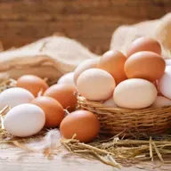 Dieta e cálculo de proteína: o que devemos ingerir ao longo do dia?