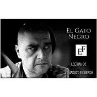 El Gato Negro, Audiolíbro.
