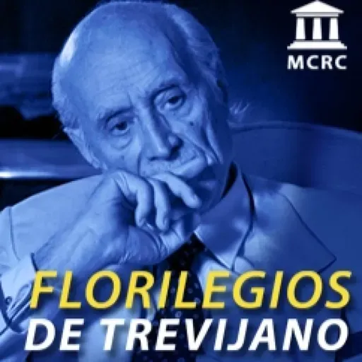 La ética implica estética (homenaje a Dalmacio Negro)