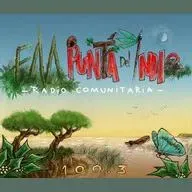 FM Punta del Indio 100.3 en vivo