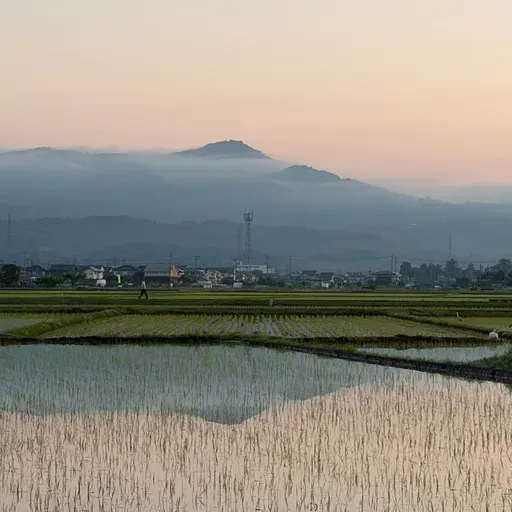 朝ラン14℃。早起き野球の準備と田んぼの水面に映る山とツボに入るがち、んこ対決と絶好調男。#1891 from Radiotalk