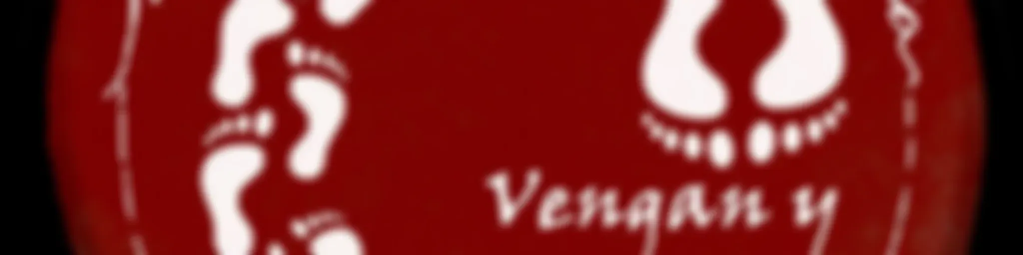 Vengan y Vean