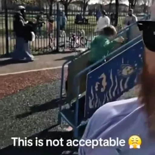 Outrage Over 'Vile' Footage Of Children Recorded in Blanchardstown Playground