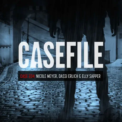 Case 334: Nicole Meyer, Dassi Erlich & Elly Sapper