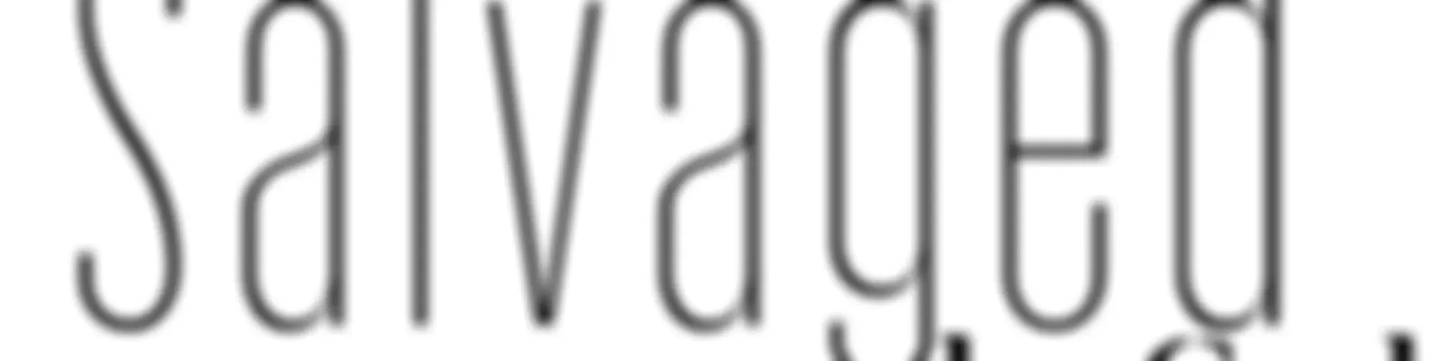 Salvaged by God (formally Bible Idiots)