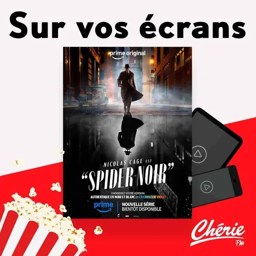 "Avec ou sans enfants" sur Netflix et "Spider-Noir" sur Prime Vidéo