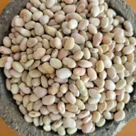 407 Low Water Vegetables