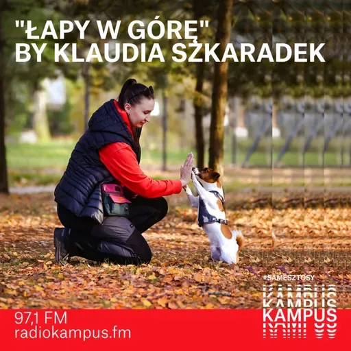 Dzik jest zły?