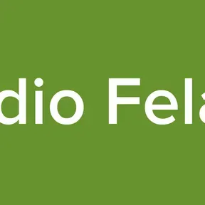 Radio Felafu