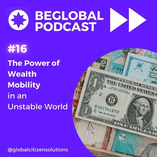 The Power of Wealth Mobility in an Unstable World  Description