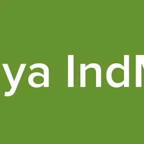 Punya IndMan