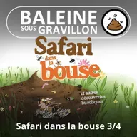 BEST OF D'ÉTÉ #11 Safari dans la bouse 3/4 : Le clapet anal du Mammouth