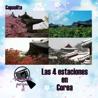 Capsulita: estaciones en Corea y en Argentina (#3rdMission para #KInfluencer)