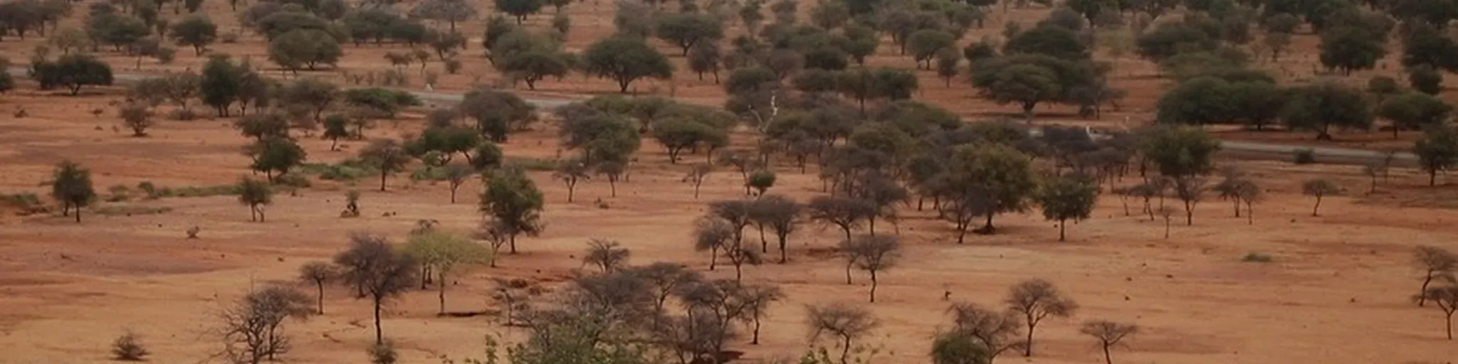 Radio du Sahel