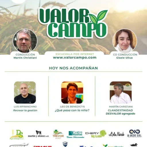 Programa Completo Valor Campo 27-11-2024
