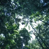 Sleeping over with Harry at the Cemetery. Mediumship Transmission: S17. Ep3.