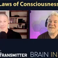 BI 228 Alex Maier: Laws of Consciousness