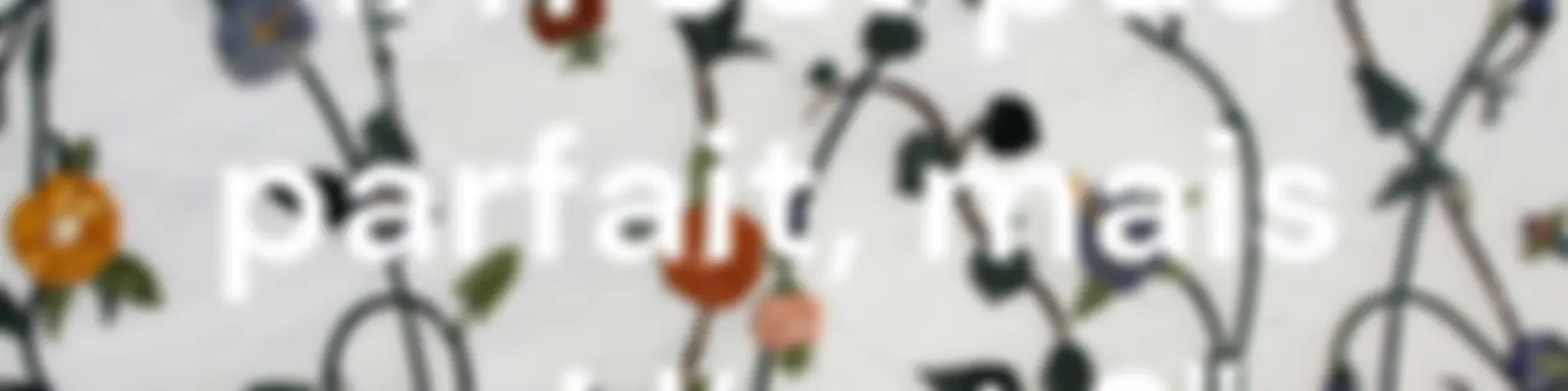 "Il n'est pas parfait, mais qui l'est ?"