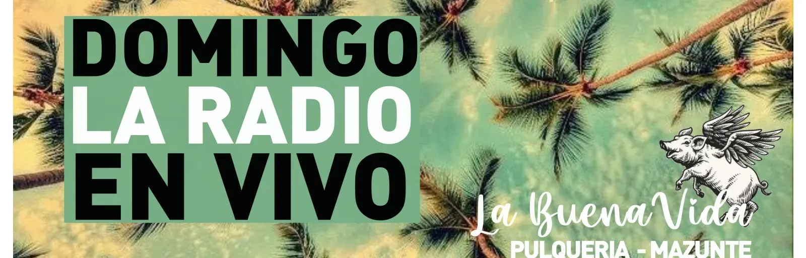 La Buena Vida Pulquería Mazunte