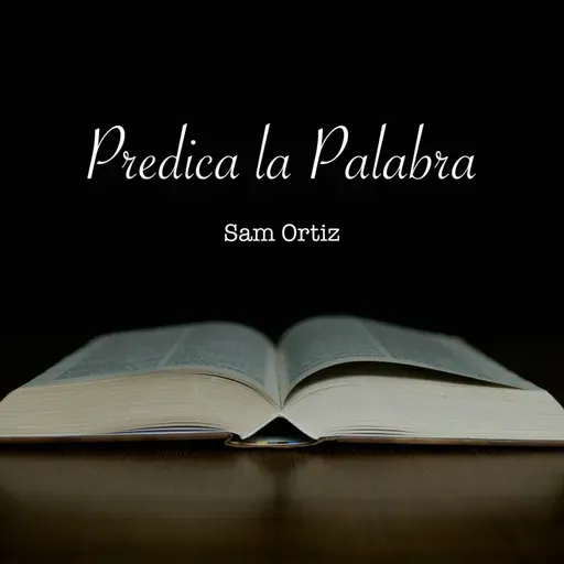 Nunca os conocí 