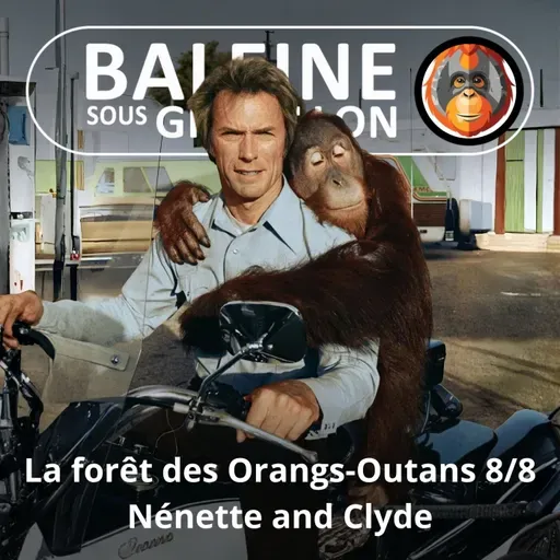 S07E120 Les Orangs-Outans 8/8 : Nénette and Clyde (Emmanuelle Grundmann)