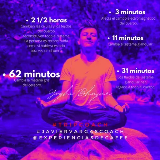 NADIE, SINO TU | Episodio 35 | Segunda temporada.