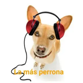 kawai radio mx